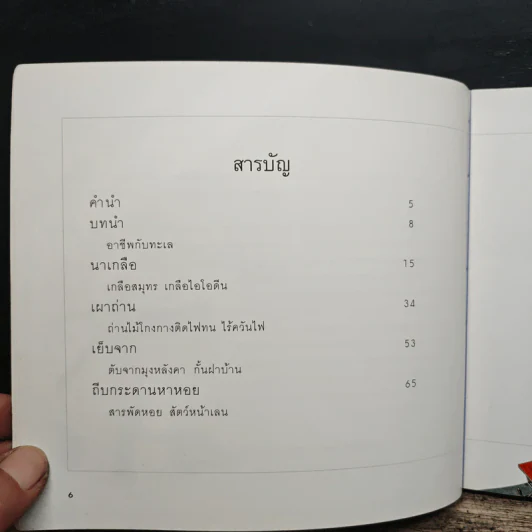 อาชีพจากทะเล - นิดดา หงษ์วิวัฒน์ รูปที่ 8