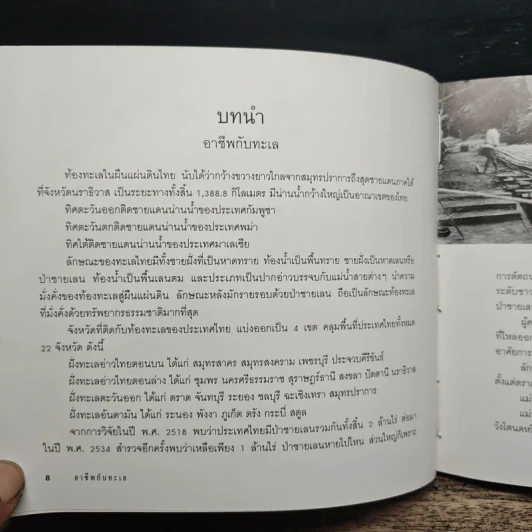 อาชีพจากทะเล - นิดดา หงษ์วิวัฒน์ รูปที่ 10