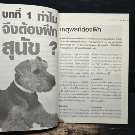 Dog Training Handbook คู่มือฝึกสุนัข: เห็นผลใน 10 สัปดาห์ - สเตลลา สมิธ รูปที่ 8