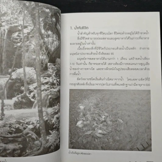 วิถีแห่งน้ำ ธารชีวิตแห่งโลก - นัยนา นิยมวัน รูปที่ 9