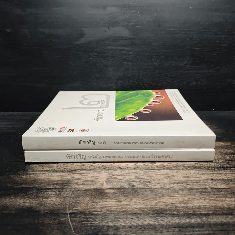 พิศเจริญ เล่ม 1-2 รูปที่ 3