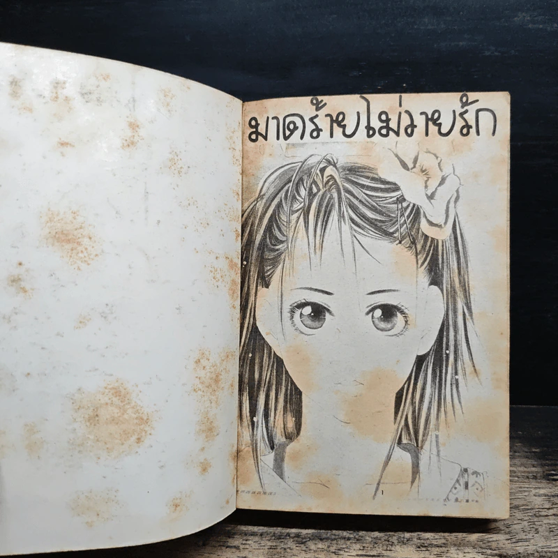 มาดร้ายไม่วายรัก รูปที่ 6