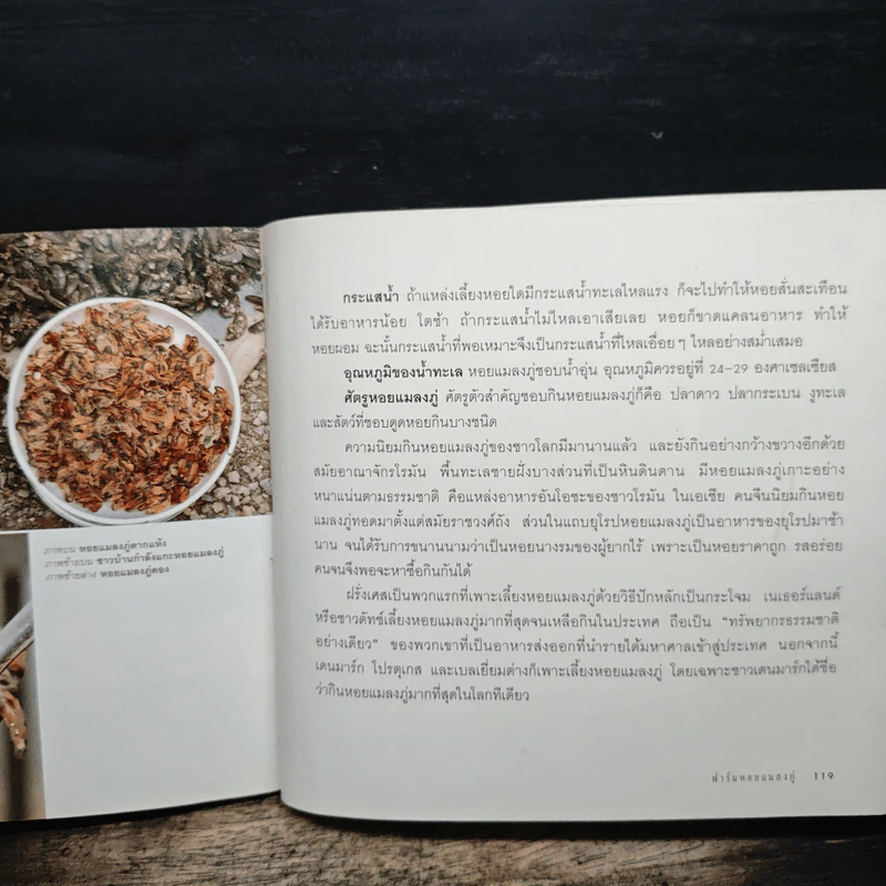 อาชีพจากทะเล - นิดดา หงษ์วิวัฒน์ รูปที่ 11