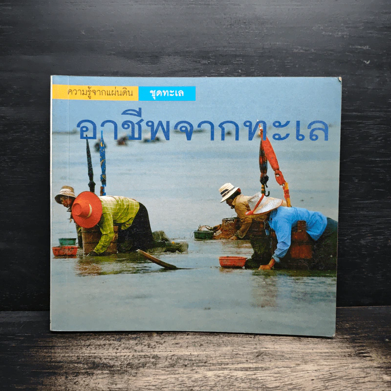 อาชีพจากทะเล - นิดดา หงษ์วิวัฒน์ รูปที่ 1