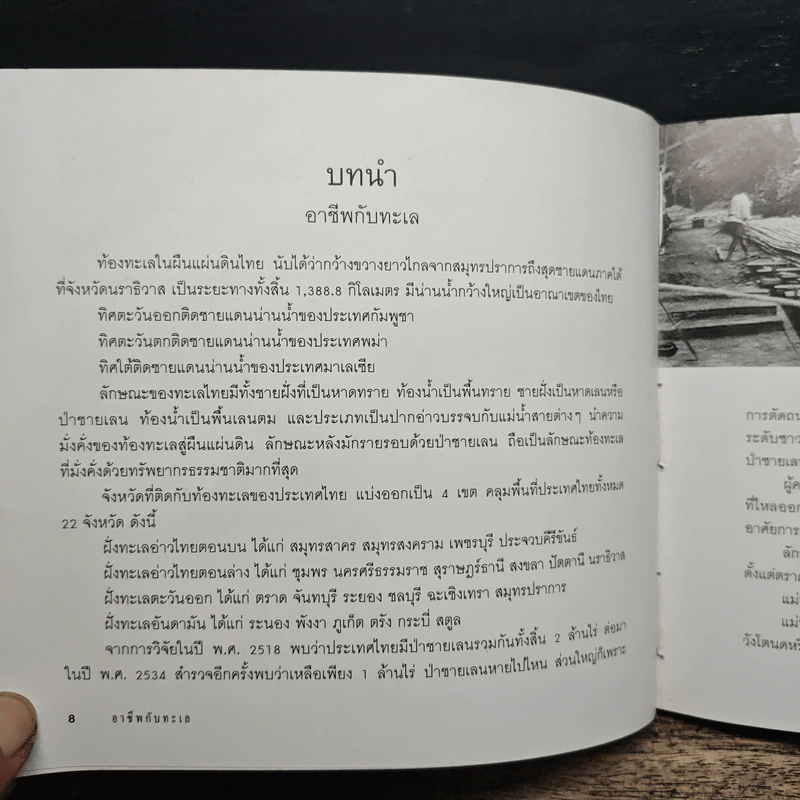 อาชีพจากทะเล - นิดดา หงษ์วิวัฒน์ รูปที่ 10
