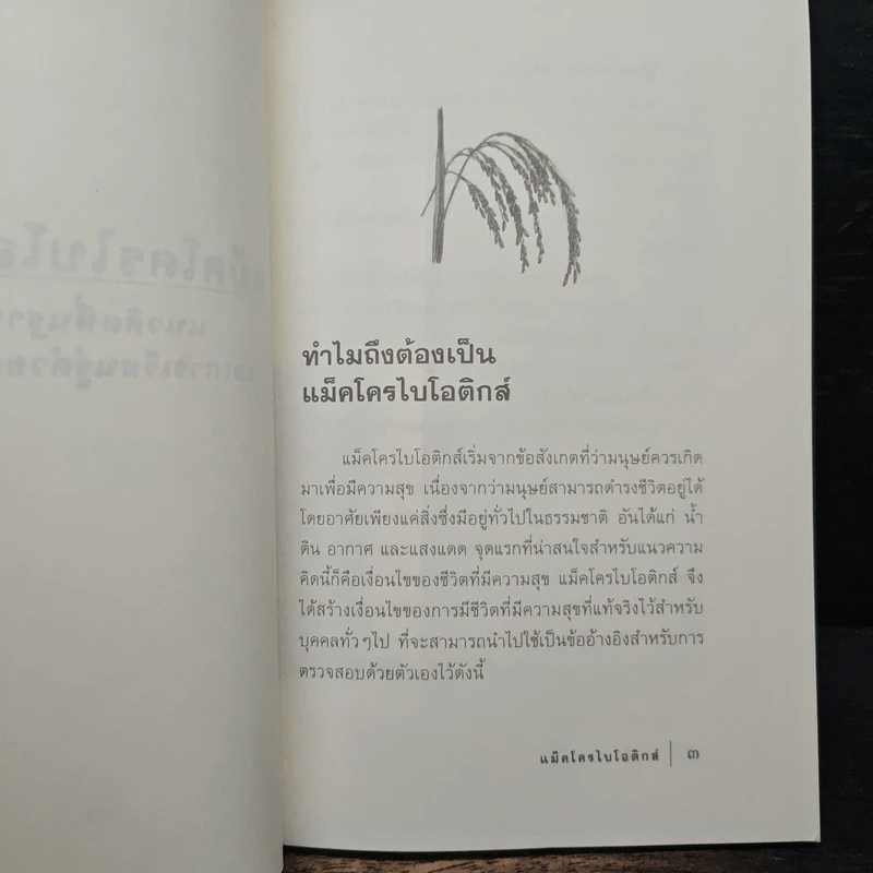 แม็คโครไบโอติกส์ - ภัทรชัย อมรธรรม รูปที่ 8