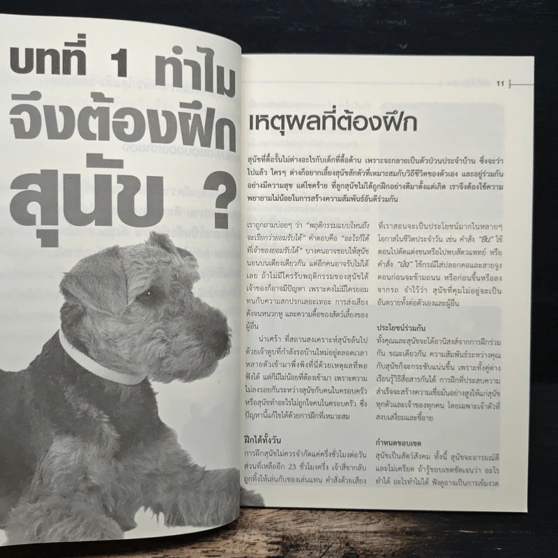 Dog Training Handbook คู่มือฝึกสุนัข: เห็นผลใน 10 สัปดาห์ - สเตลลา สมิธ รูปที่ 8