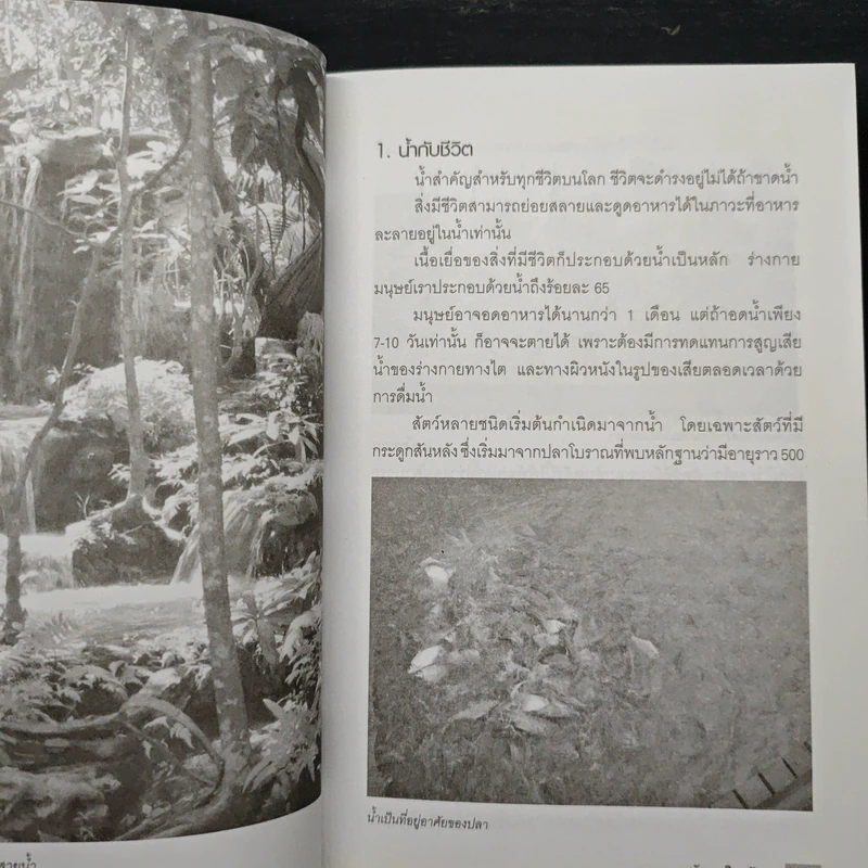 วิถีแห่งน้ำ ธารชีวิตแห่งโลก - นัยนา นิยมวัน รูปที่ 9