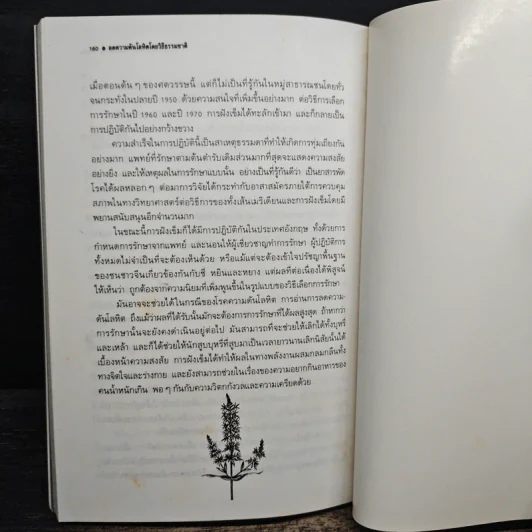 ลดความดันโลหิตโดยวิธีธรรมชาติ - สุดารัตน์ รูปที่ 11