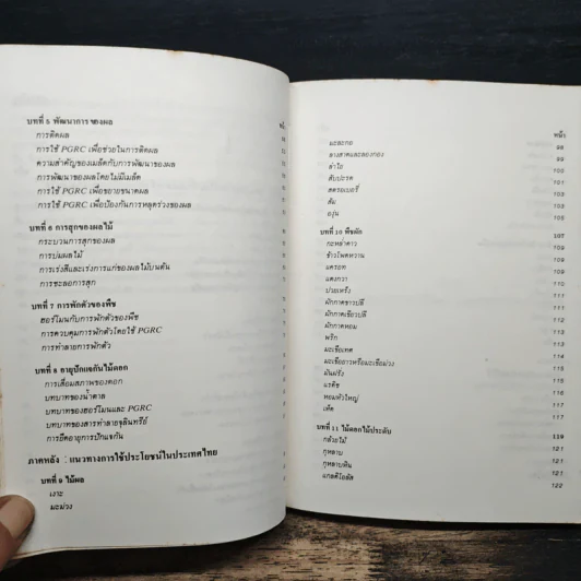 ฮอร์โมนพืชและสารสังเคราะห์ - พีรเดช ทองอำไพ รูปที่ 8