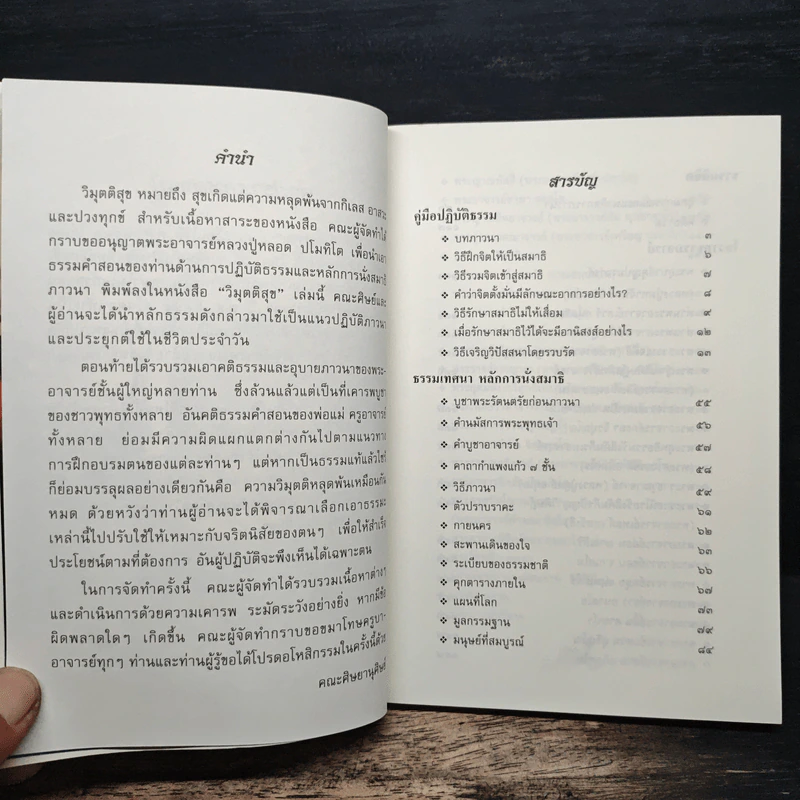 วิมุตติสุข รูปที่ 7