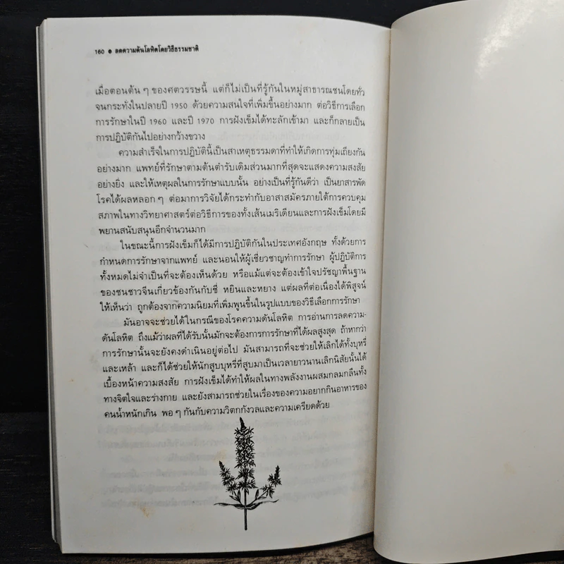 ลดความดันโลหิตโดยวิธีธรรมชาติ - สุดารัตน์ รูปที่ 11