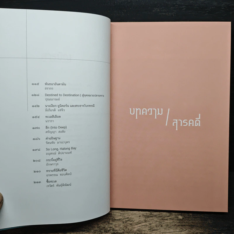 เขียนกระบี่ไว้ที่หัวใจ รูปที่ 9