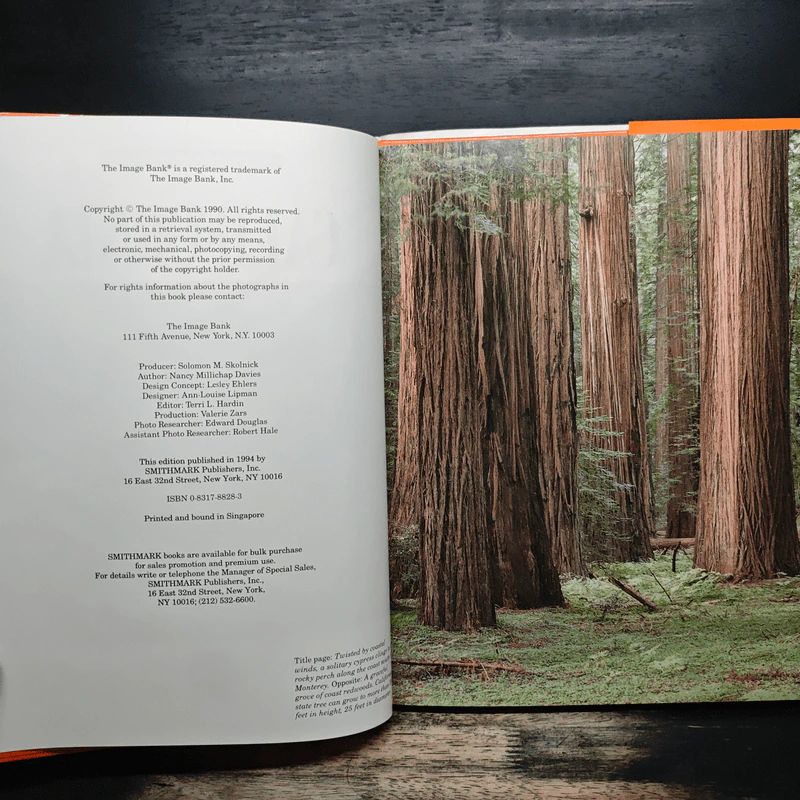 California - Nancy Millichap Davies รูปที่ 7