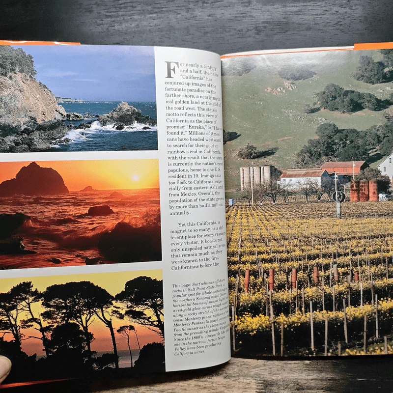 California - Nancy Millichap Davies รูปที่ 8