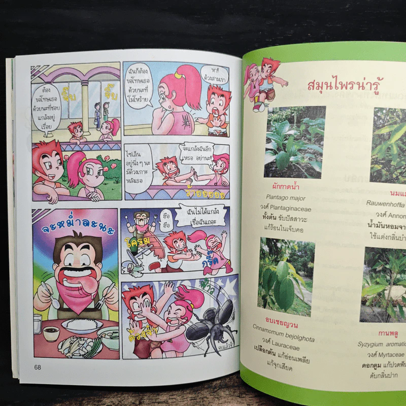 ตะลุยป่าสมุนไพร - อภิชาติ ศัพท์สุวรรณ์ รูปที่ 8