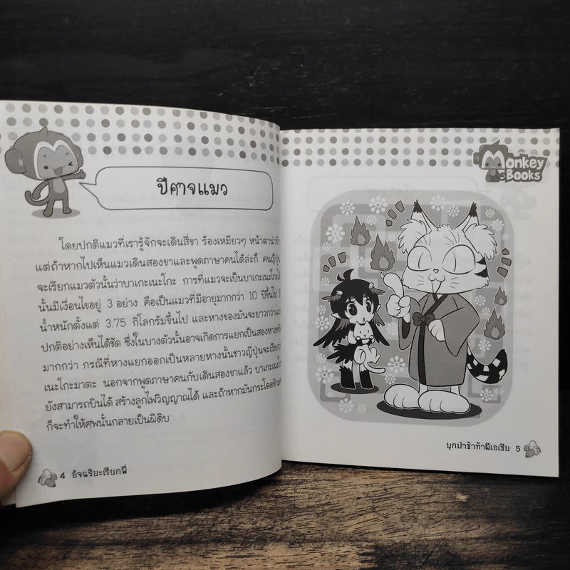 บุกป่าช้าท้าผีเอเชีย - กองบรรณาธิการมังกี้บุ๊กส์ รูปที่ 7