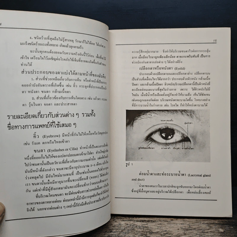 ความรู้เพื่อการดูแลรักษา ดวงตา - ศาสตราจารย์นายแพทย์ จรีเมธ กาญจนารัณย์และคณะ รูปที่ 9