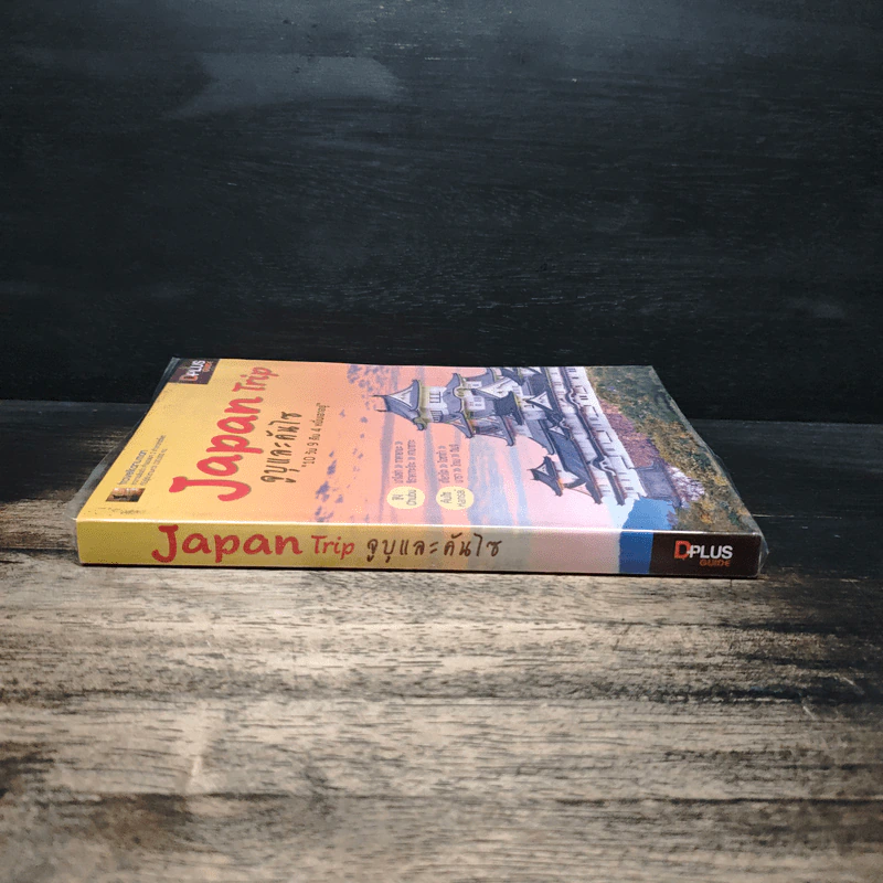 Japan Trip จูบุและคันไซ 10 วัน 9 คืน 4 หมื่นเอาอยู่ รูปที่ 3