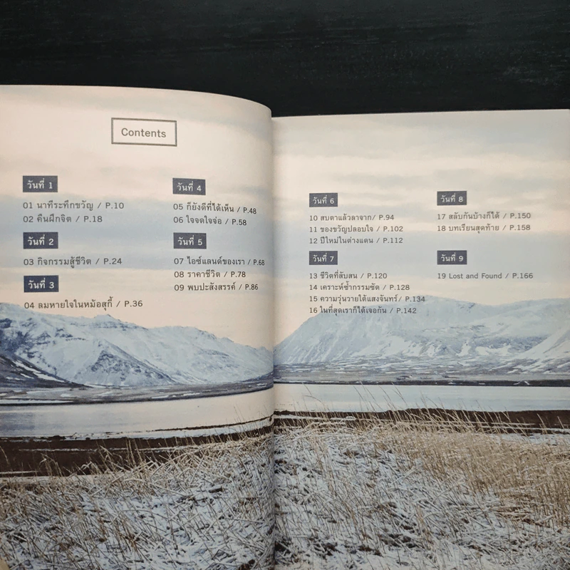 Lost and Found in Iceland ไอซ์แลนด์ดินแดนแห่งแสงเหนือ - นพ.วันฉัตร ชินสุวาเทย์ รูปที่ 7