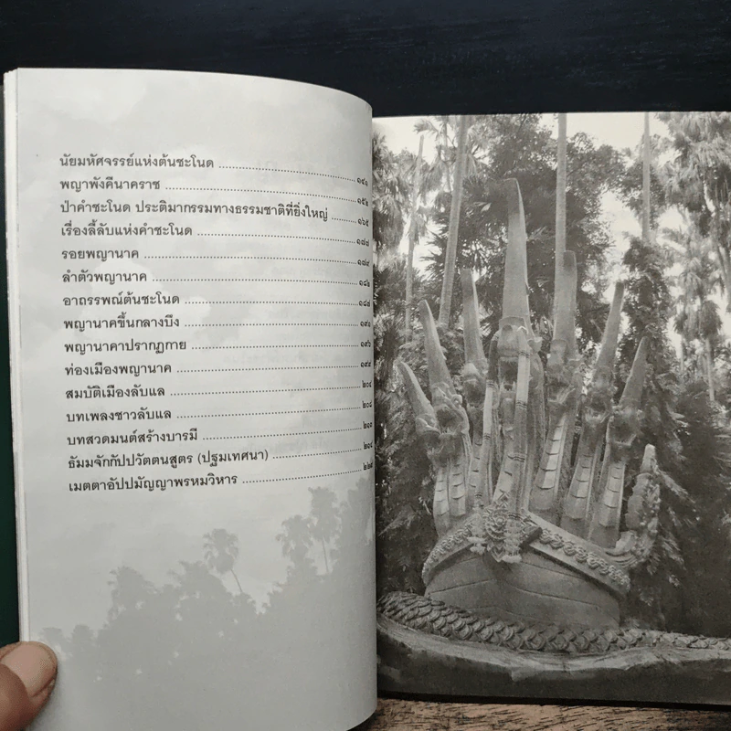 เรื่องจริงที่ยังสงสัย บอกได้ชาตินี้เท่านั้น เล่ม 21 คำชะโนด - สุพรรณ์ ก้อนคำ รูปที่ 8