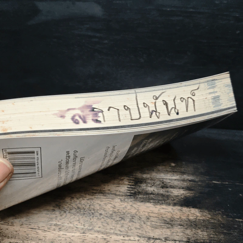 แกะรอยหยักสมอง 2 : รู้เรื่องลงทุน - ภาววิทย์ กลิ่นประทุม รูปที่ 13