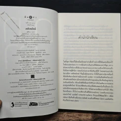 เพลิงพยัคฆ์ - ณารา รูปที่ 6