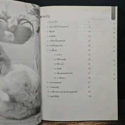 Hamster Guide ฉบับสมบูรณ์ที่สุด รูปที่ 7