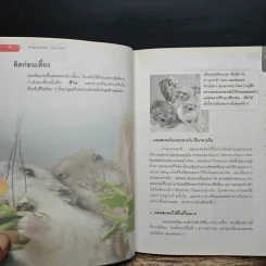 Hamster Guide ฉบับสมบูรณ์ที่สุด รูปที่ 8