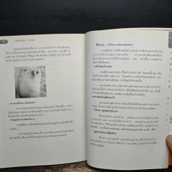 Hamster Guide ฉบับสมบูรณ์ที่สุด รูปที่ 9