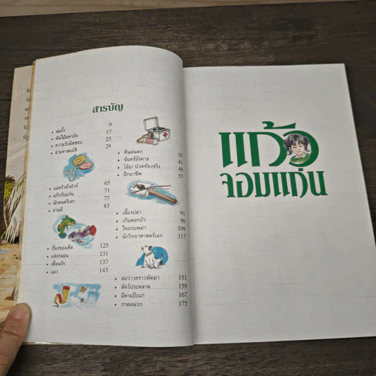 แก้วจอมแก่น - แว่นแก้ว รูปที่ 7