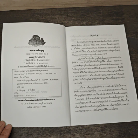 การเพาะเห็ดหูหนู - ยุทธนา ธีระวงศ์กังวาล รูปที่ 6