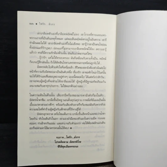 ไฟรักมังกร - ณารา รูปที่ 8