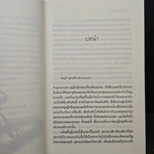 เพลิงพยัคฆ์ - ณารา รูปที่ 7