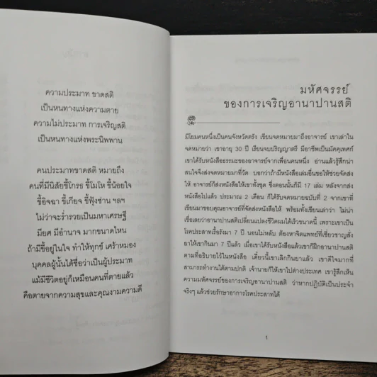 สติเป็นธรรมเอก - พระอาจารย์มิตซูโอะ คเวสโก รูปที่ 7