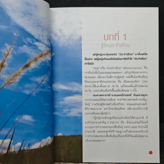 108 เรื่องต้องรู้เกี่ยวกับประจำเดือน รูปที่ 8