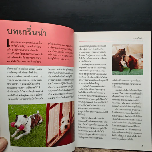 รู้ไหมหมาคิดอะไรอยู่? - Gwen Bailey รูปที่ 8