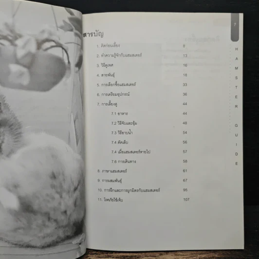 Hamster Guide ฉบับสมบูรณ์ที่สุด รูปที่ 7