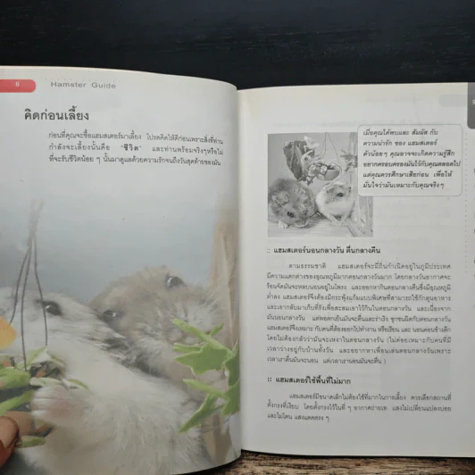 Hamster Guide ฉบับสมบูรณ์ที่สุด รูปที่ 8