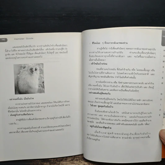Hamster Guide ฉบับสมบูรณ์ที่สุด รูปที่ 9