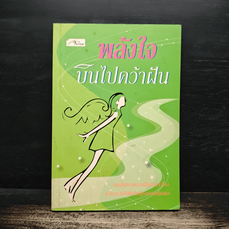 พลังใจบินไปคว้าฝัน - นายแทน รูปที่ 1