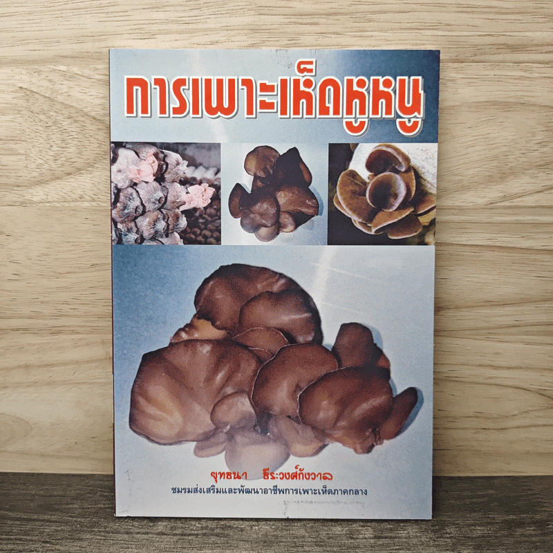 การเพาะเห็ดหูหนู - ยุทธนา ธีระวงศ์กังวาล รูปที่ 1
