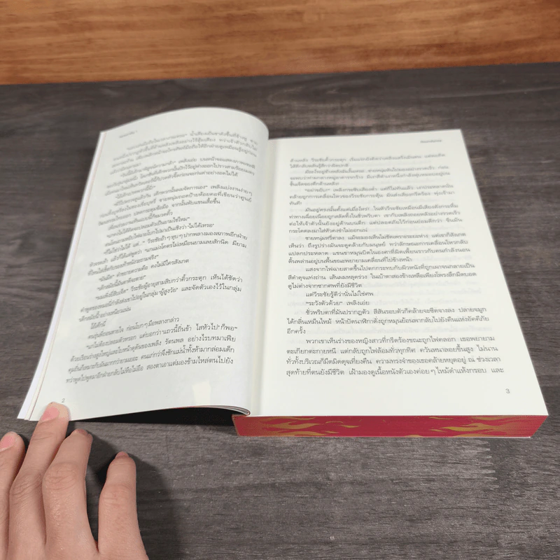 ตรวนอาสัญ 3 เล่มจบ - Roundlynoy รูปที่ 12