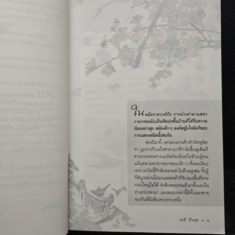องค์หญิงไท่ผิง - ธานี ปิยสุข รูปที่ 7