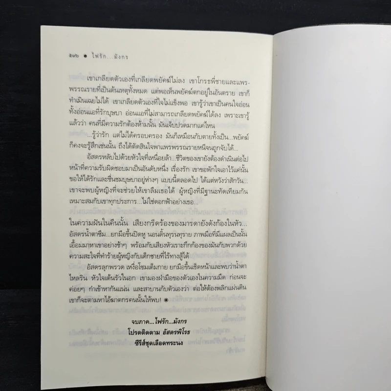 ไฟรักมังกร - ณารา รูปที่ 8