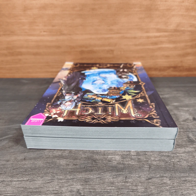 WITCH เดิมพันอนาคตแม่มดเปลี่ยนโลก 2 เล่มจบ - ณาริน รูปที่ 4