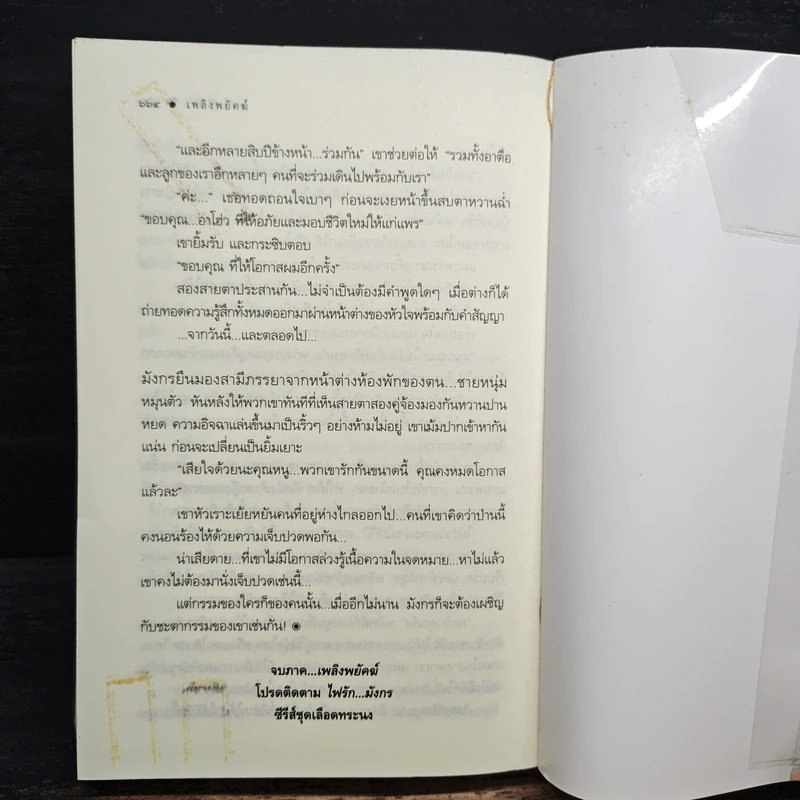 เพลิงพยัคฆ์ - ณารา รูปที่ 8