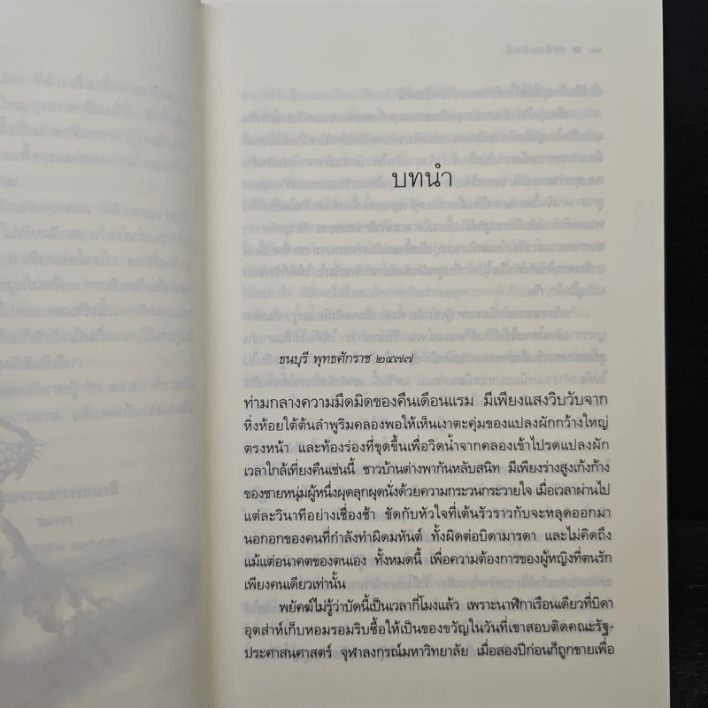 เพลิงพยัคฆ์ - ณารา รูปที่ 7