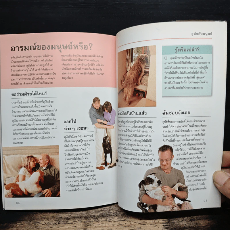 รู้ไหมหมาคิดอะไรอยู่? - Gwen Bailey รูปที่ 9
