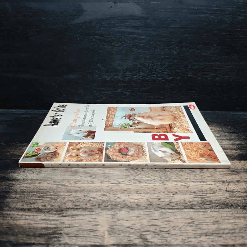 Hamster Guide ฉบับสมบูรณ์ที่สุด รูปที่ 3